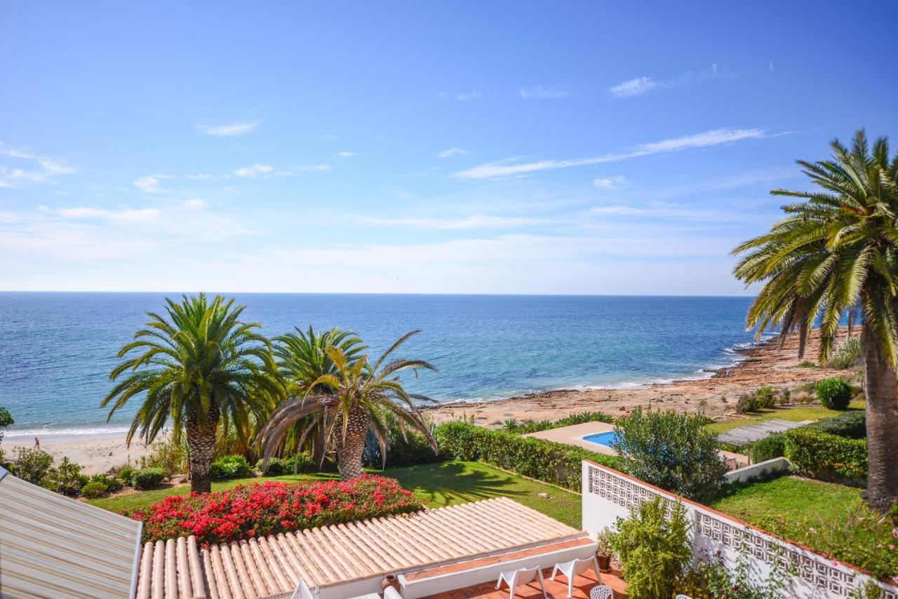 The Fantastic Beach House Of Luz Exteriör bild